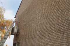 IMG-20210303-WA0028