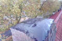 IMG-20210303-WA0019